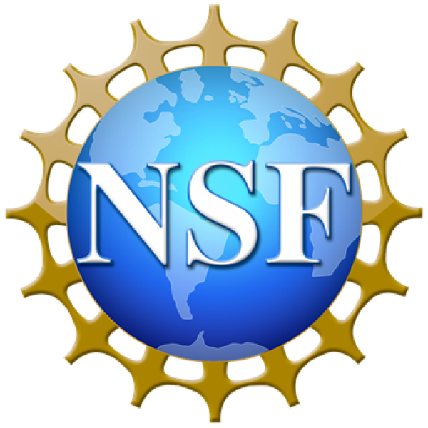 National Science Foundation globe logo
