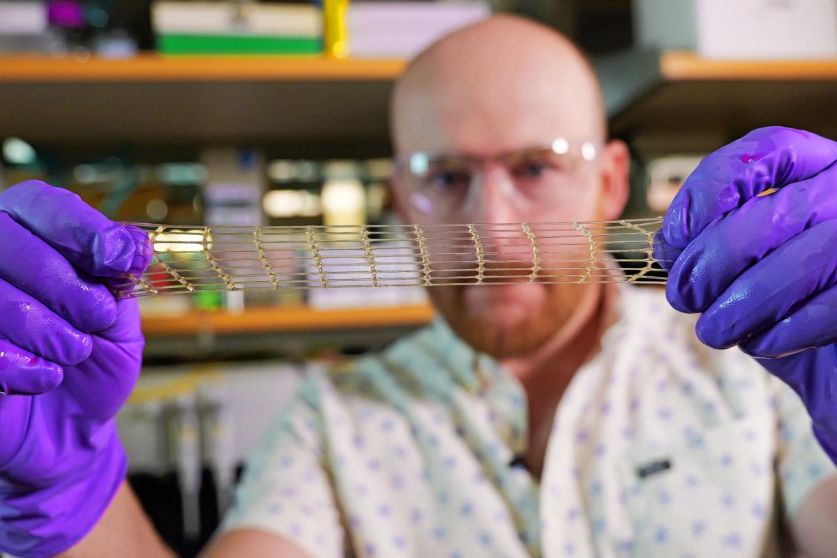 Biotechnology from a 3D printer