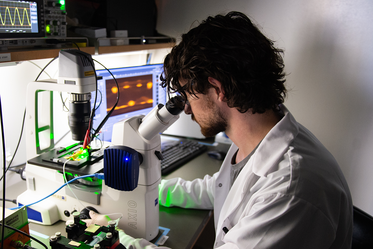 Male graduate student looking into a microscope