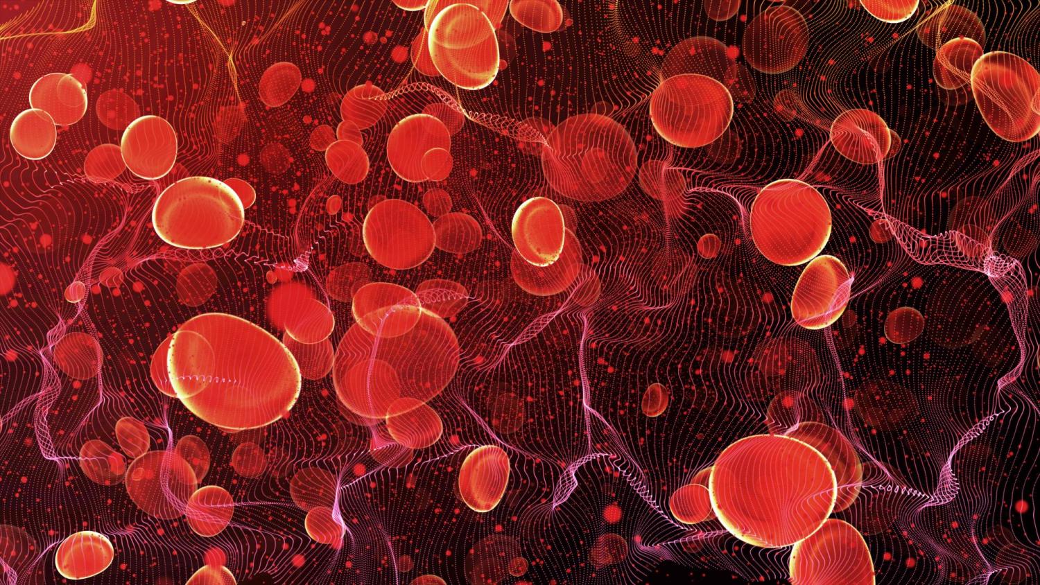 Blood in an artery