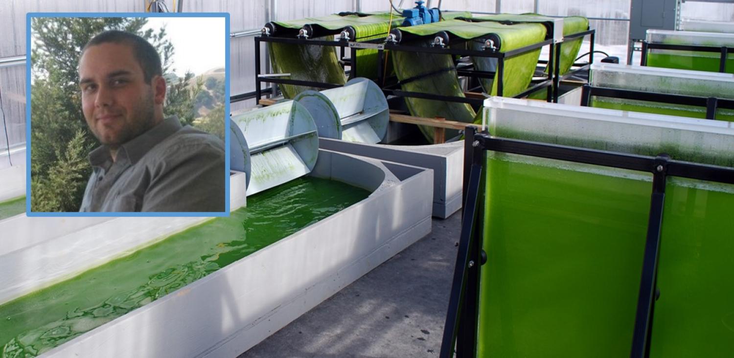 Ben Mousseau and algae system