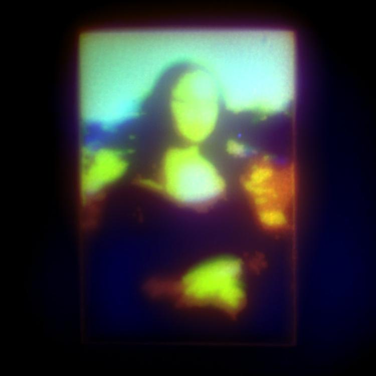 Microscopic image of a hydrogel patterned to form a tiny Mona Lisa shape, narrower than a human hair. The hydrogel acts as a scaffold with precise gradients in stiffness and biochemical cues, used to control the environment that cells experience.