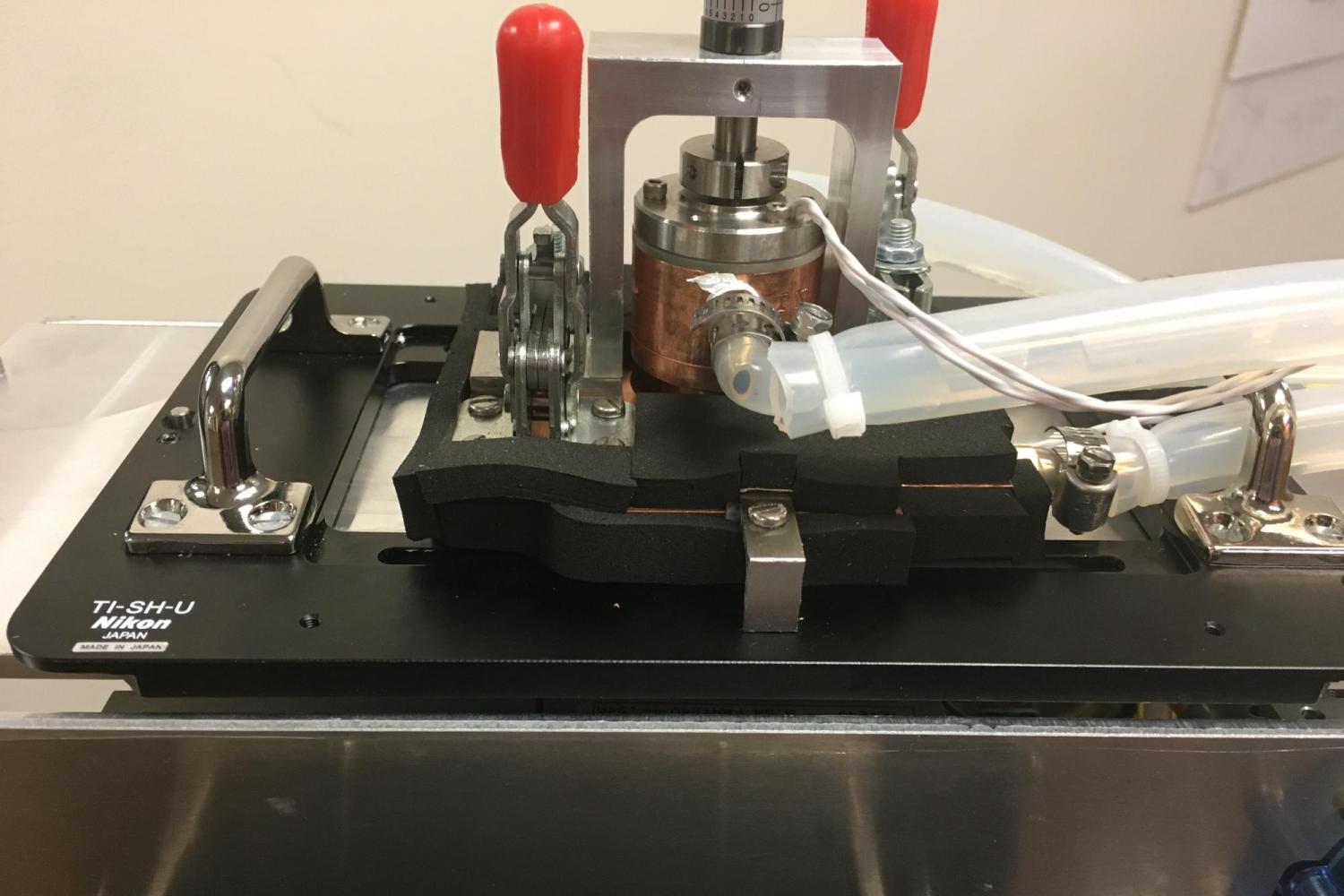 Zero stage microscope slide.
