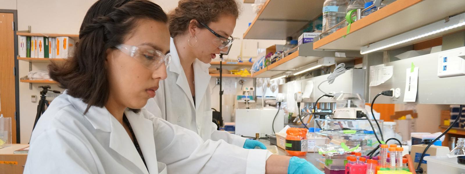 Staff scientist and grad student at the bench