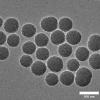 Transmission electron microscope image showing clusters of uniform, spherical nanoparticles with textured surfaces. The particles appear densely packed against a light gray background. A scale bar in the lower right indicates 100 nanometers.”