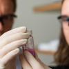 Shields and Day examine sample in lab