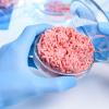 Burger in a petri dish