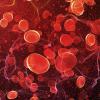 Blood in an artery