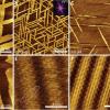 Microscopi images of nucleation research
