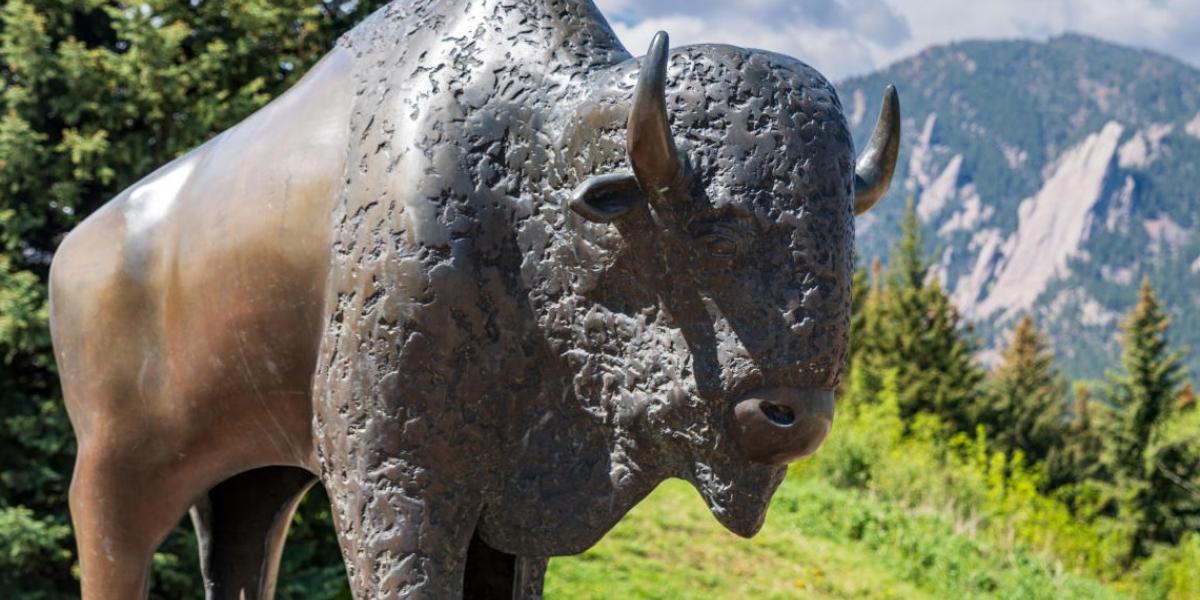 Buffalo