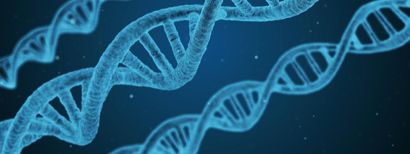 DNA