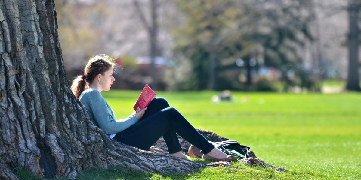 Student reading against a tree