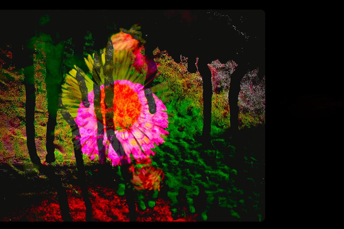 Still from Universe in a Grain of Salt