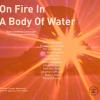 Promotional poster for the program, titled "On Fire in a Body of Water" then underneath, North American Landscape through experimental film then underneath it has the names of the filmmakers, Emma Piper-Burket, Jonathan Schwartz, Jessica Bardsley, Christin Turner, Kathleen Rugh, Thirza Cuthand, Sky Hopinka, Robert Todd, Eileen Roscina, Lukas Marxt, Emma Piper-Burket, Noah Rosenberg