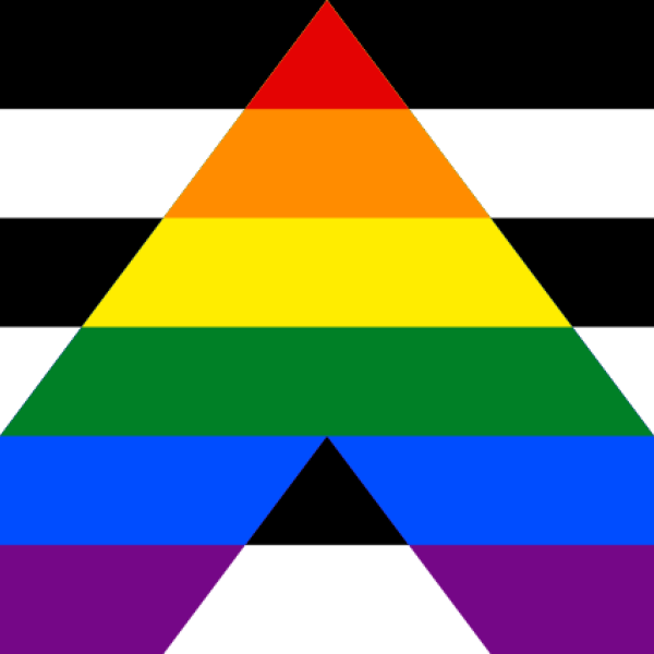 ally flag