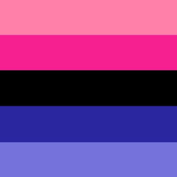 omnisexual pride flag