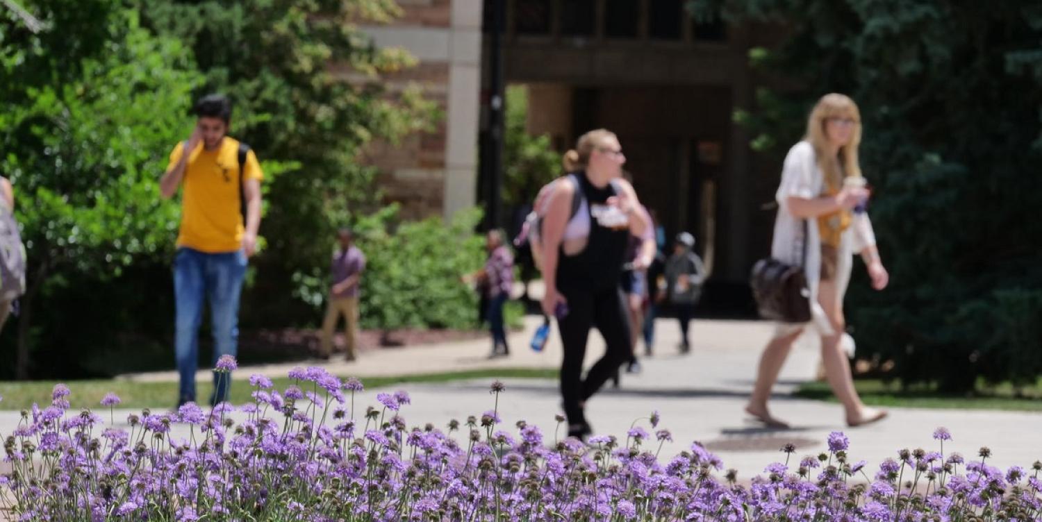 Students walking through campus in the spring