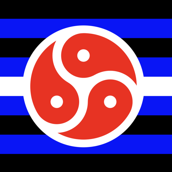 bdsm flag