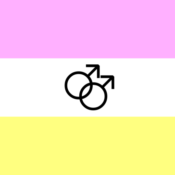 twink pride flag