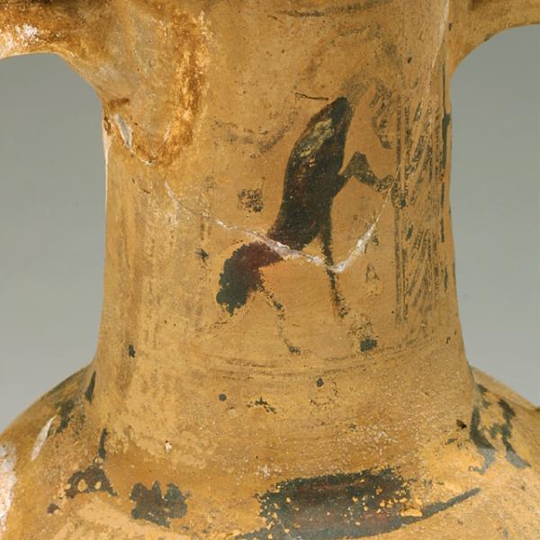 neck detail