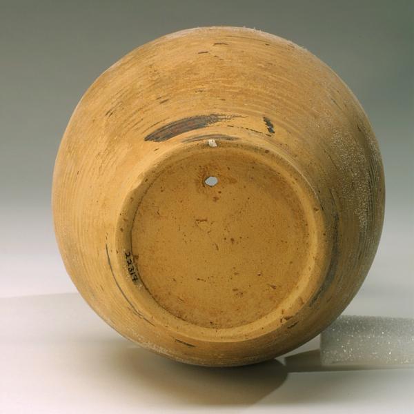 bottom view