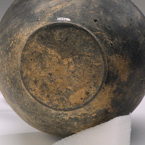 bottom view