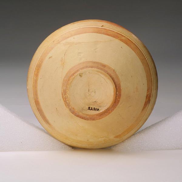 bottom view