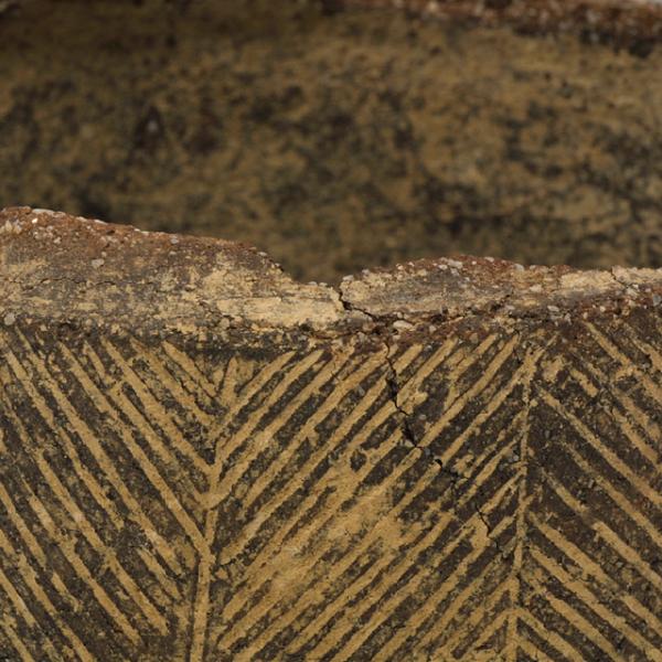 pyxis rim, detail
