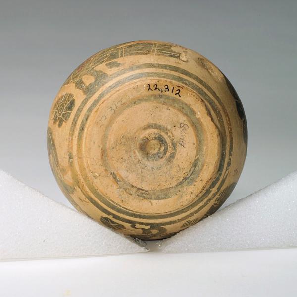 bottom view