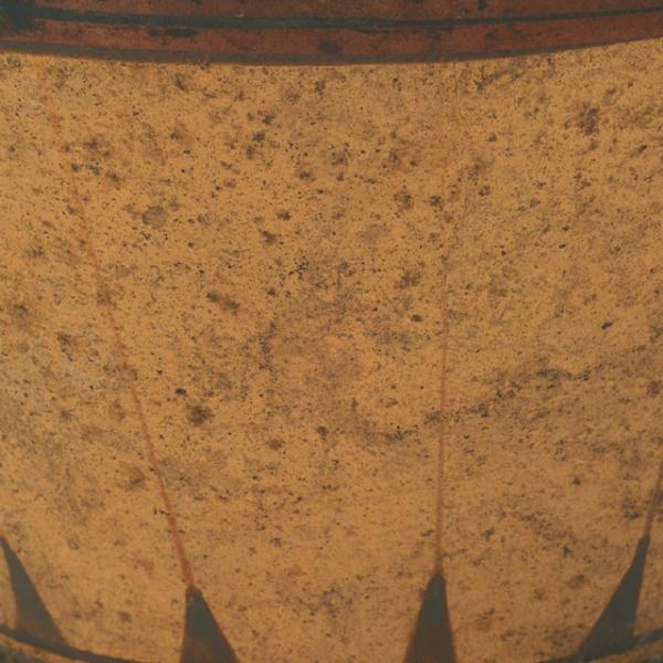 rays at foot detail