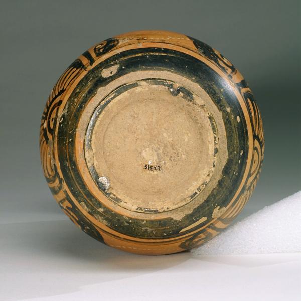 bottom view