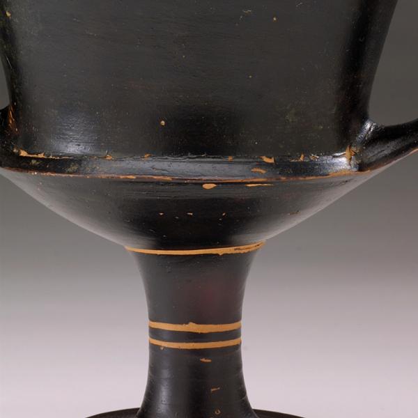 carination at base of cup