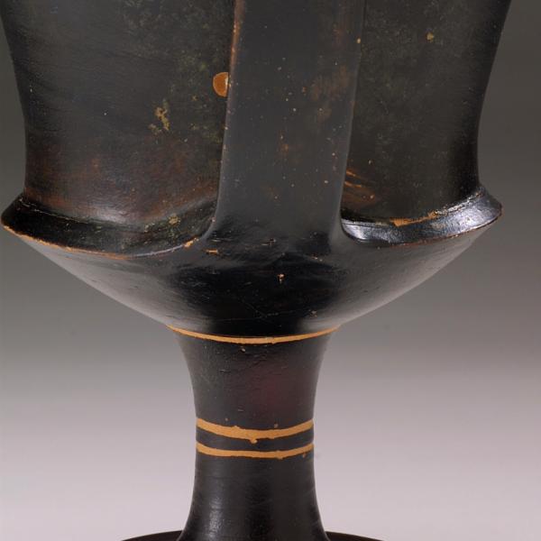 carination at base of cup