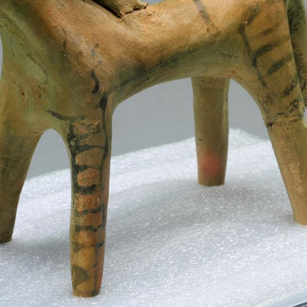 horse legs detail