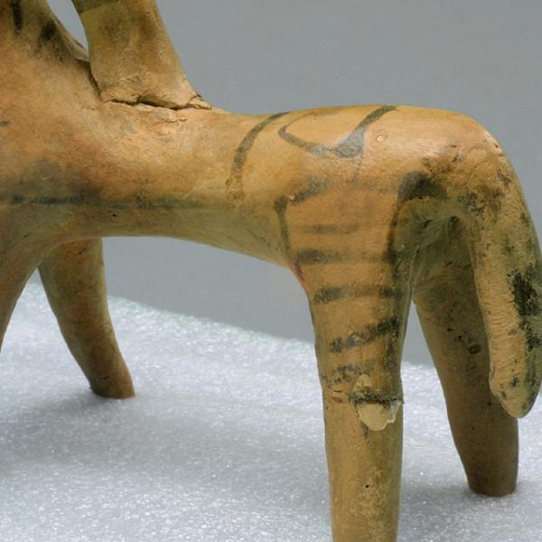 horse body detail