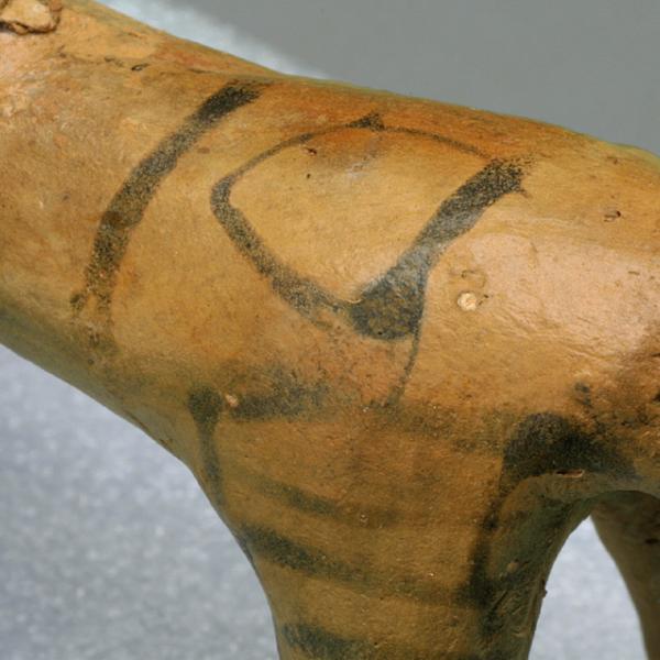 horse haunch detail