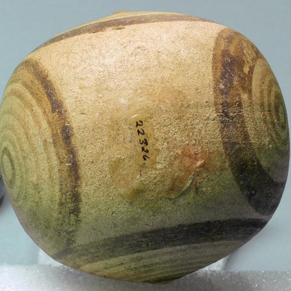 bottom view