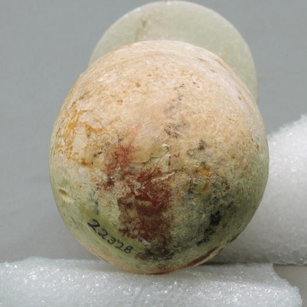 bottom view
