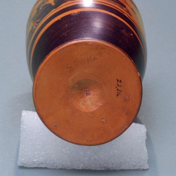 bottom view