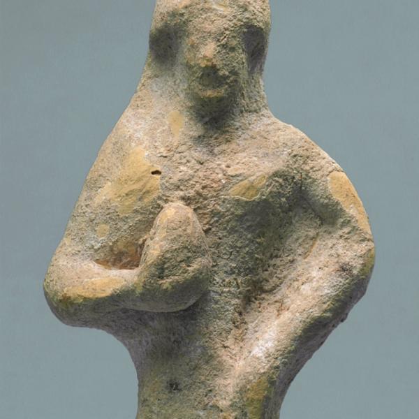 upper body, front view