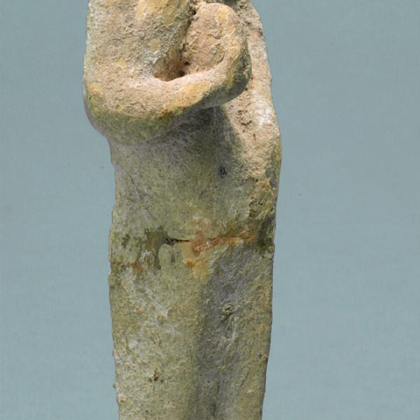 middle body, oblique view