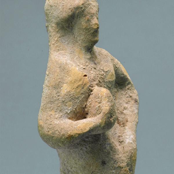 upper body, oblique view