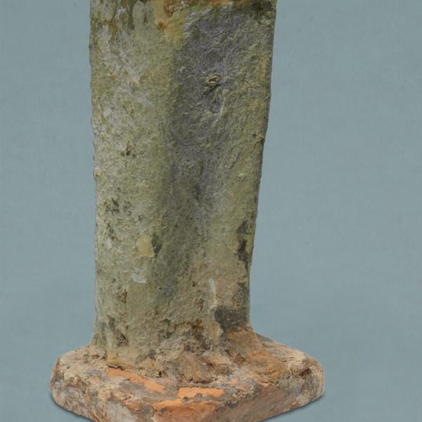 lower body, oblique view