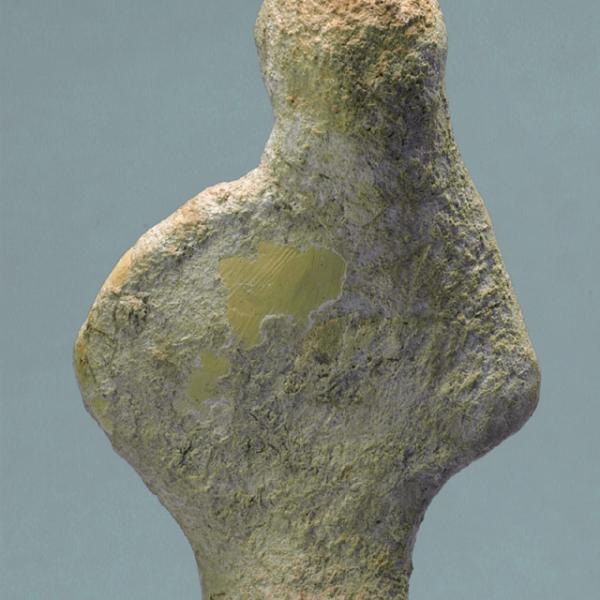 upper body, back view