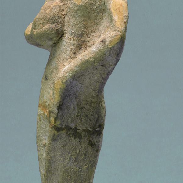 middle body, side view