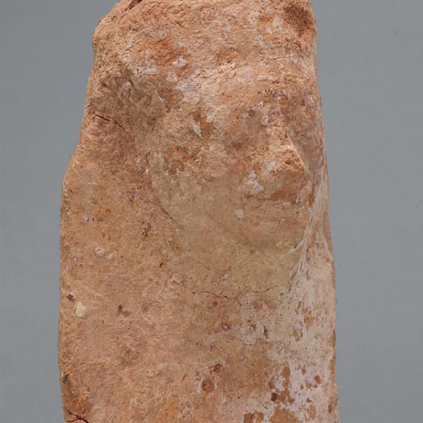 head and neck, front view