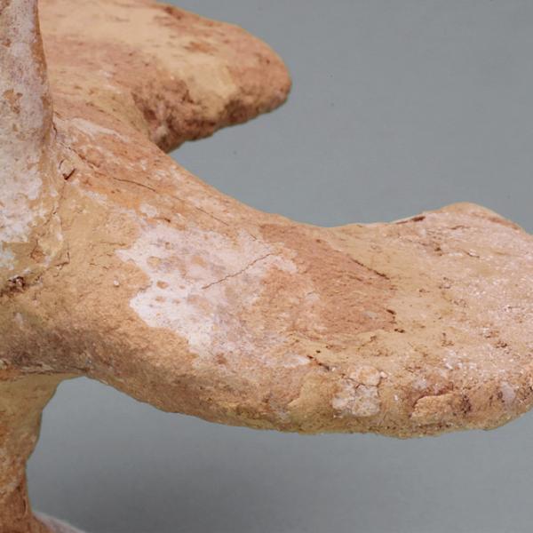 wing detail