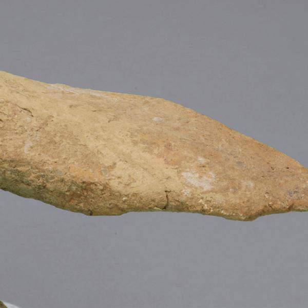 tail detail