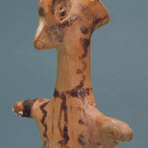 head, oblique view