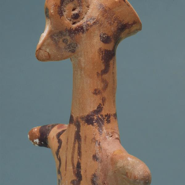 head, oblique view